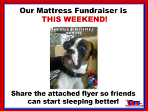 Final Mattress Reminder