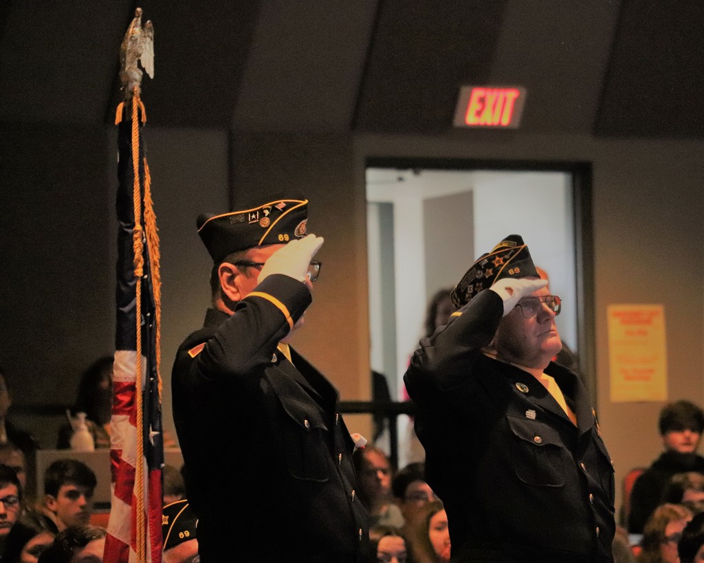 Veterans Day - Salute